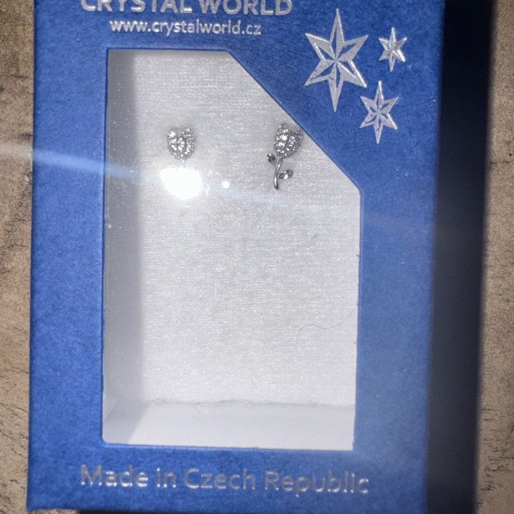 Silver Earrings